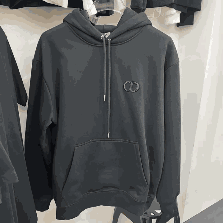 Dior Hoodie/Sweatshirt（27+ Styles）