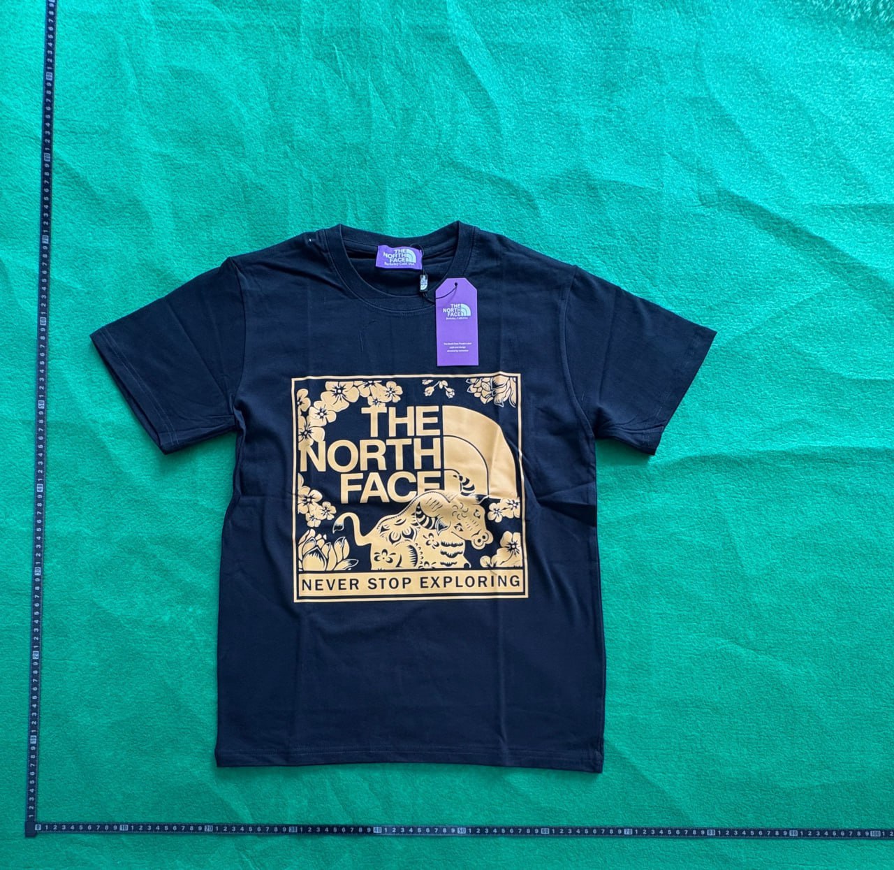 The north face T-shirt