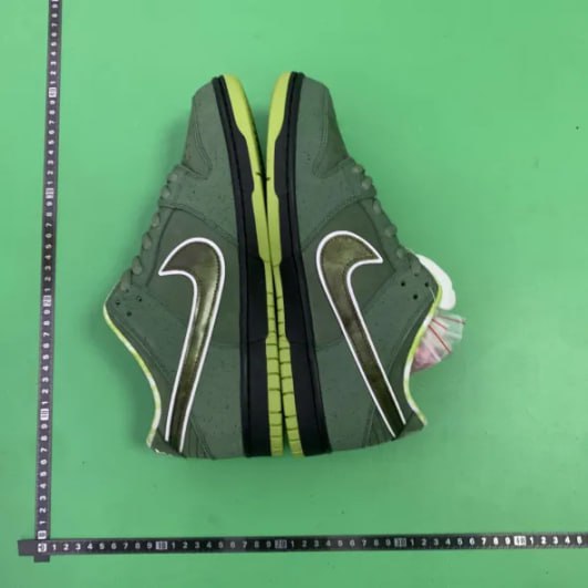 CONCEPTS x Nike Dunk SB