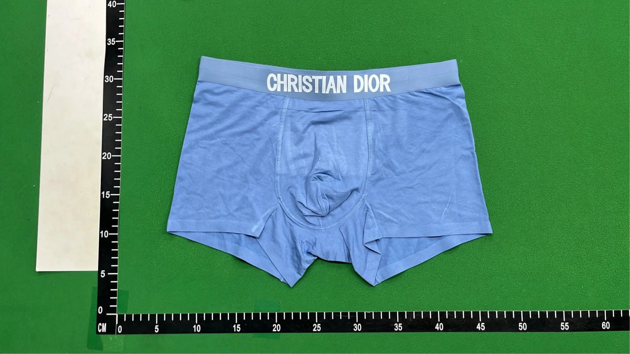 Dior underwear