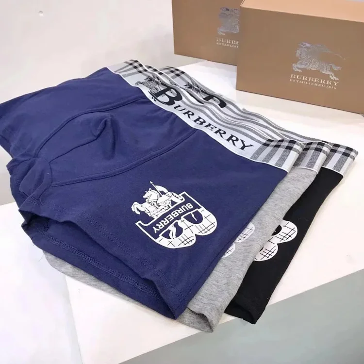 burberry Men's styli